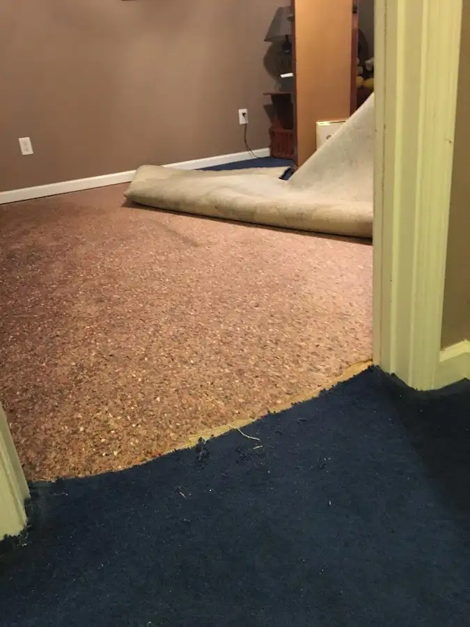 Carpet pad removal revealing water damage during Drying & Dehumidification in Bloomfield